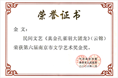 第六届南京市文学艺术奖金奖